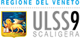Ulss9 scaligera